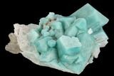 Amazonite Crystal Cluster - Colorado #129237-2